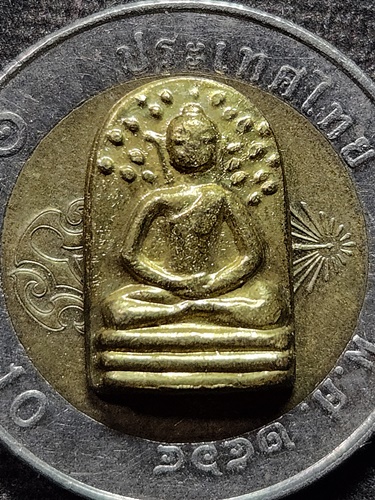 วัดกลางบางแก้ว จ.นครปฐม เหรียญปรกโพธิ์รุ่นแรก หลวงปู่เจือ  ปี2551