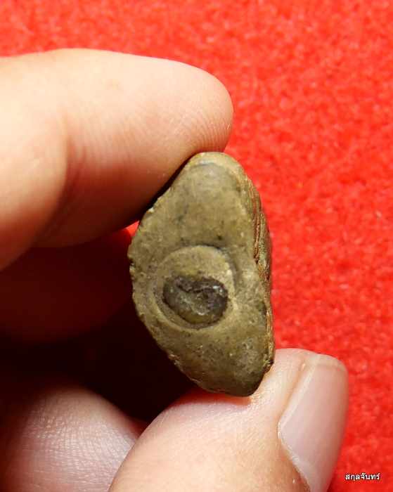 พระปิดตา หลวงพ่อทองกลึง วัดเจดีย์หอย จ.ปทุมธานี  เนื้อว่าน