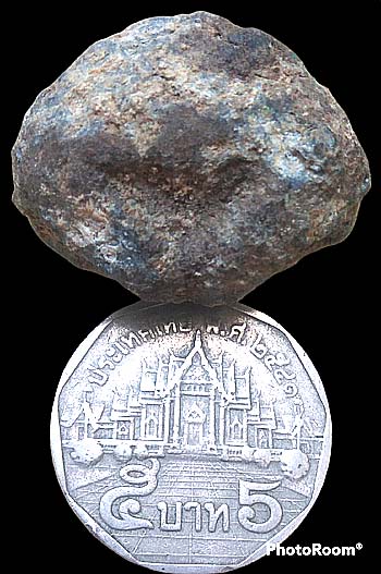 *พดด้วง ชินเขียว เม็ดใหญ่*