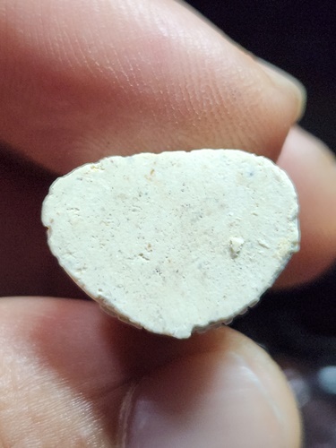 วัดกาหลง สมุทรสาคร พระปิดตาลอยองค์ หลวงพ่อสุด รุ่นแรก ปี 2526