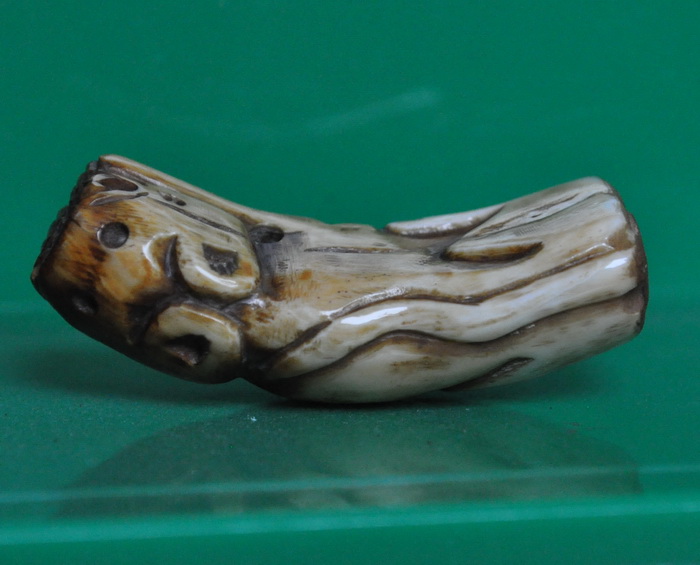 เสือหมอบเขากวางแกะ