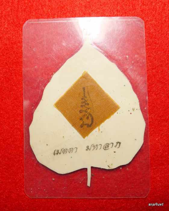 ใบโพธิ์ เมตตา มหาลาภ หลังจีวรพระครูพรหม ธรรมนิเทศ (พรหมโชโต)วัดขนุน จันทบุรี