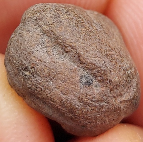 พระถ้ำเสือ 