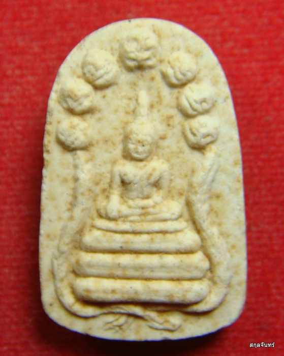 สมเด็จนาคปรกพระธาตุพนม ปี 2551 กล่องเดิม