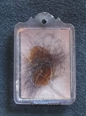 รูปเกจิเก่า หลังเกษา สีผึ้ง งานเลี่ยมวินเทจครับผม