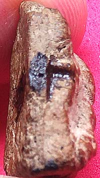 *พิมพ์ซุ้มไข่ปลา เนื้อว่าน กรุวัดป่าแตง พระนครศรีอยุธยา*