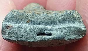 *หลวงปู่ทวด พิมพ์ใหญ่ ปลายมน หัวมน (ซุ้มมน) เนื้อเทา วัดประสาทบุญญาวาส ปี๒๕๐๖*