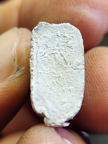 วัดสว่างอารมณ์ คลองด่าน สมุทรปราการ เสือ หลวงพ่อปาน (บางเหี้ย)  เนื้อผง