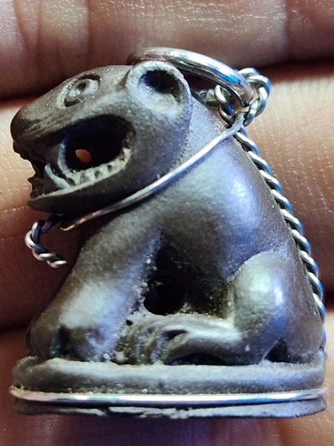 วัดสว่างอารมณ์ จ.สมุทรปราการ เสือหลงใหลหลวงปาน (วัดบางเหี้ย) ๑๐๐ ปี 2552 เนื้อผสมเหล็กน้ำพี้