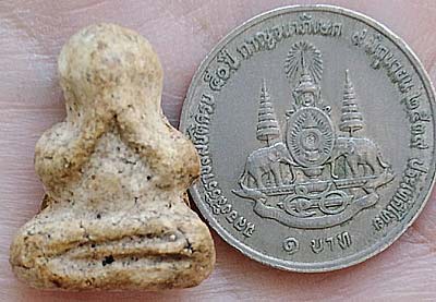 ปิดตาครึ่งซีก เนื้อผง