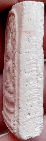 ปรกโพธิ์ เนื้อผง