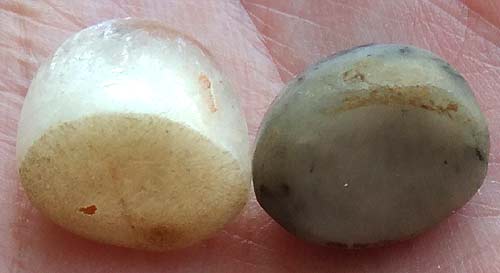 หัวแหวนหินโป่งข่ามเขี้ยวหนุมาน