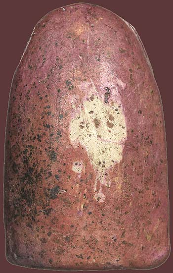 พิมพ์คล้ายพระคง