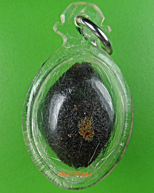 หมากทุยหลวงปู่หลุย วัดราชโยธา กทม. .D334.