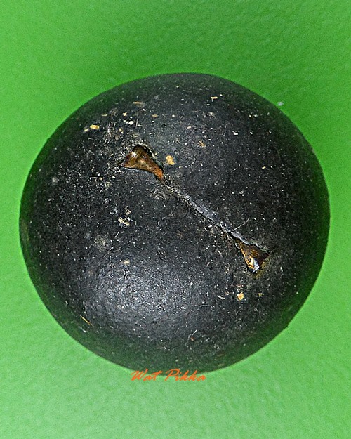 ลูกอมผงมหาว่าน ฝังตะกรุดเงิน หลวงปู่สิงห์ วัดบ้านขี้เหล็ก ศรีสะเกษ .D339.