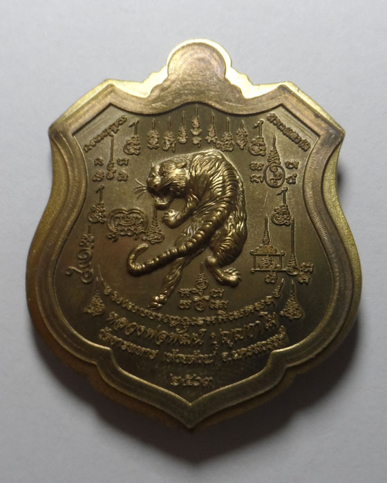 เหรียญพยัคฆ์เจ้าพระยา หลวงพ่อพัฒน์ วัดห้วยด้วน จ.นครสวรรค์