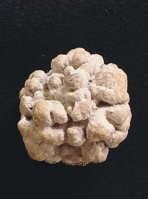 ***** ลูกอมพระธาตุพระสิวลี *****