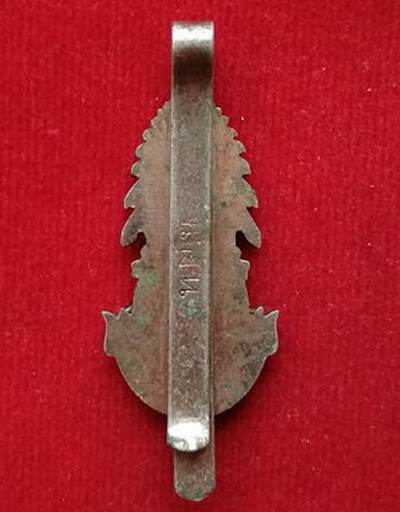 แหนบเก่า ร.9 และพระบรมราชินีนาถ ด้านหลัง มีคำว่า ท.ต.น (สมาคมทหารตำรวจนอกราชการ)