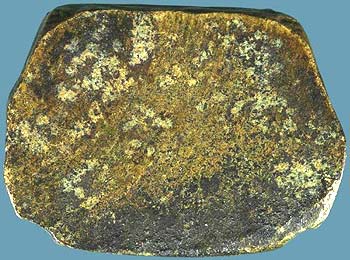 *รูปเหมือนปั๊ม หลวงพ่อโอภาสี อาศรมบางมด ทองเหลืองกะไหล่ทอง*