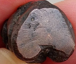 *พระปิดตาอาจารย์สีแก้ว วัดไทรใหญ่ สงขลา เนื้อทองแดงเถื่อน พ.ศ.๒๔๘๕*