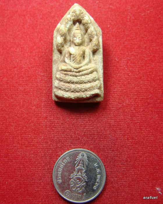 พระนาคปรกนื้อผงน้ำมัน พิมพ์ใหญ่ วัดพระพุทธบาทสระบุรี 2521 หลวงพ่อกวยปลุกเสกครับ