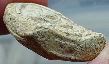 *พระกรุวัดเงินคลองเตย กทม. พิมพ์สังกัจจายน์มีหู เนื้อผง*