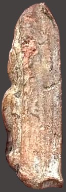 *นางพญา พิมพ์อกนูน เนื้อดิน ปี๒๔๗๒ หลวงปู่โต๊ะ วัดประดู่ฉิมพลี กทม.*