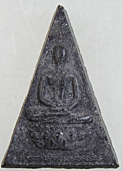 พระกําลังแผ่นดิน โคงการหลวง