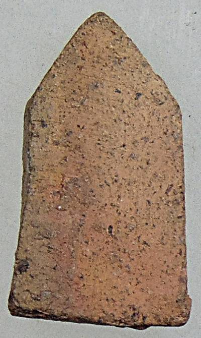 ๒๐ พระชัยวัฒน์ วัดสุทัศน์ เนื้อดิน