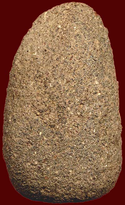 ลป.ทวด เนื้อว่าน