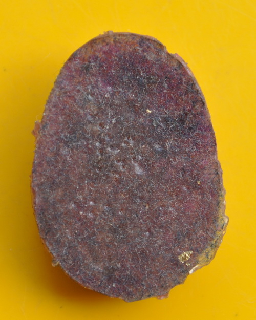 พระรูปเหมือนเนื้อพลอยอัด หลวงพ่อดาบส สุมโน