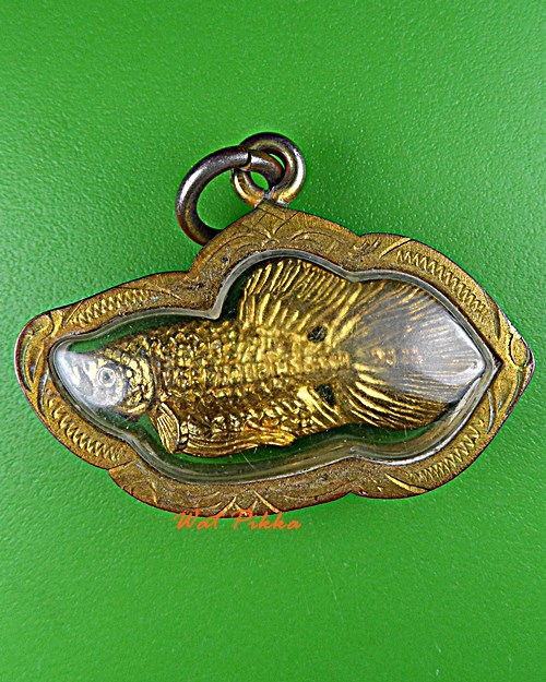 ปลากัดหลวงพ่อน่วม วัดโพธิ์ศรีเจริญ สุพรรณบุรี .E342.