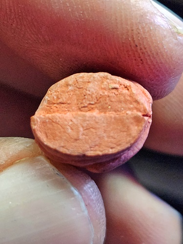 วัดบางพลีน้อย จ สมุทรปราการ ลิงจับหลัก หลวงพ่ออนันต์ 2556