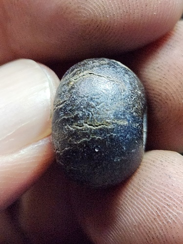 วัดพวงมาลัย สมุทรสงคราม  เม็ดประคำใบลาน หรือ พิศมร (ลูกสะกด) หลวงพ่อแก้ว 