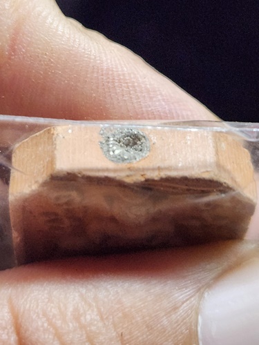 วัดศาลพันท้ายนรสิงห์ จังหวัดสมุทรสาคร  พระพิมพ์พระพุทธขี่นก หลังยันต์เกราะเพชร 