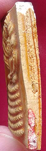 *พิมพ์นาคปรก เนื้อผงทายางนา วัดเกาะกลอย ระยอง ปี๒๕๑๔ หลวงปู่ทิม อิสริโก ปลุกเสก*