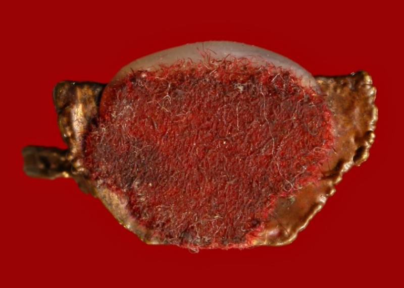 สมเด็จองค์ปฐม 