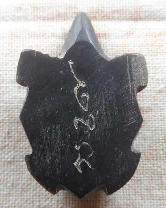 พญาเต่าเรือนเขาควายแกะ รุ่นไตรมาส ๔๔ หลวงพ่อเปิ่น วัดบางพระ จ.นครปฐม ปี๒๕๔๔