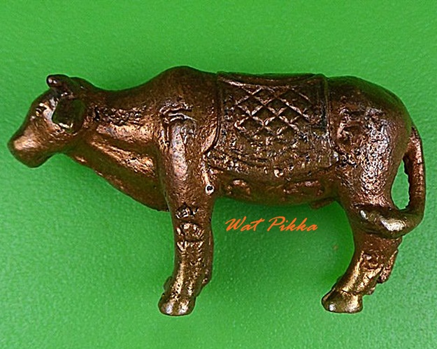 วัวรุ่นแรกหลวงพ่อแสวง วัดโยธินประดิษฐ์ สมุทรปราการ .5008.