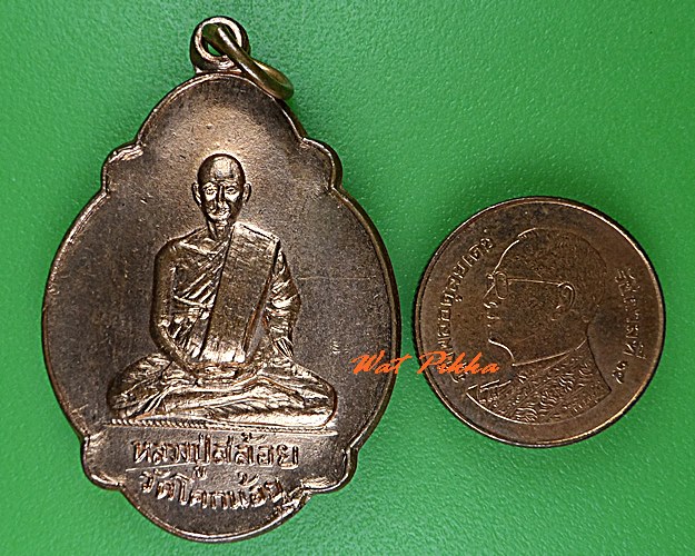 เหรียญเต่าหลวงปู่สล้อย วัดโคกน้อย สระบุรี .5173.