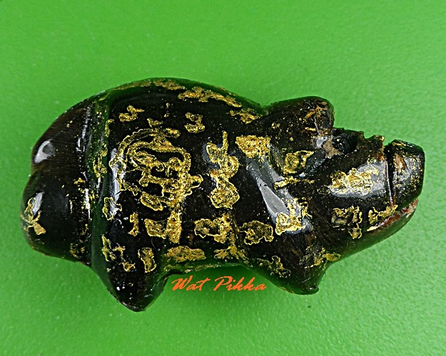 หมูหลวงพ่อเอนก วัดปรีดาราม นครปฐม .5251.