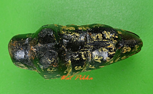 หมูหลวงพ่อเอนก วัดปรีดาราม นครปฐม .5251.