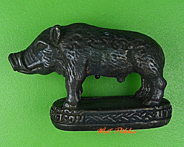 หมูทองแดงหลวงพ่อโทน วัดเขาน้อยคีรีวัน ชลบุรี .5252