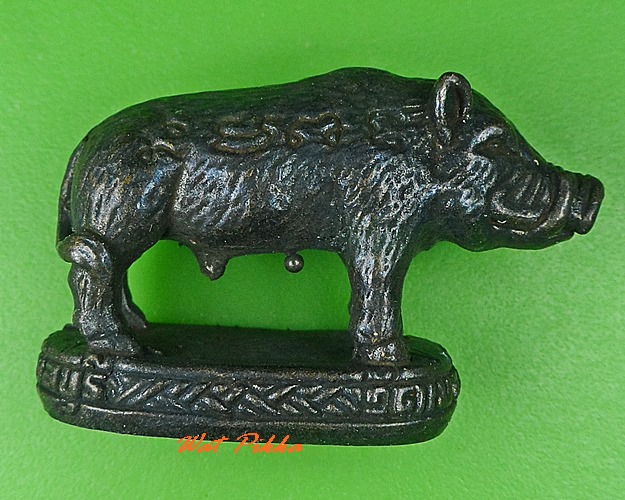 หมูทองแดงหลวงพ่อโทน วัดเขาน้อยคีรีวัน ชลบุรี .5252