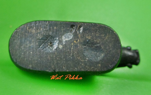 หมูทองแดงหลวงพ่อโทน วัดเขาน้อยคีรีวัน ชลบุรี .5252