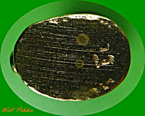  เสือกฐินปี49หลวงพ่อเพี้ยน วัดเกริ่นกฐิน ลพบุรี .5260..