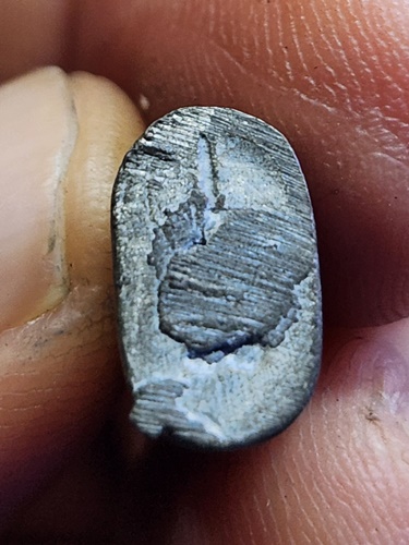 วัดมงคลโคธาวาส (วัดบางเหี้ย) จังหวัดสมุทรปราการ  เสือหล่อ หลวงพ่อปาน วมค