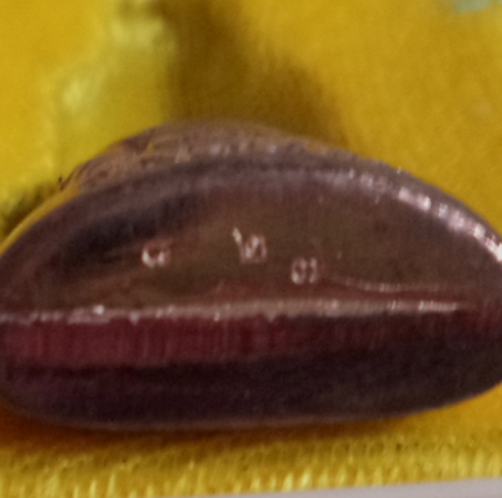 หล่อปั๊มรูปเหมือน 7รอบ เนื้อนวะ หลวงพ่อเอียด วัดไผ่ล้อม ปี55 