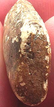 *สมเด็จฯ พิมพ์เล็ก หลวงปู่อ้น วัดบางจาก สมุทรสงคราม*