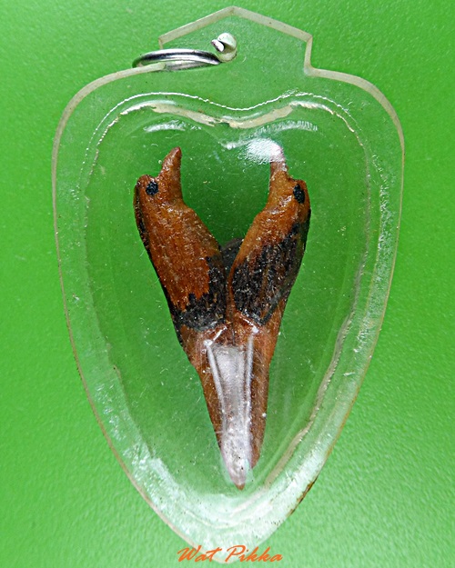 สาริกาหลวงพ่อพิเชฐ วัดโคกหม้อ ลพบุรี .5474.